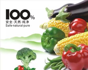 12月份 北京第十九届国际有机食品展览会