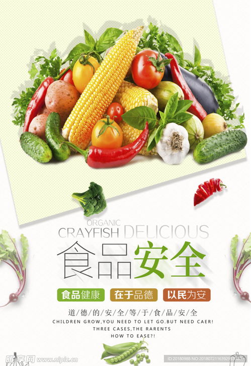 食品安全设计图