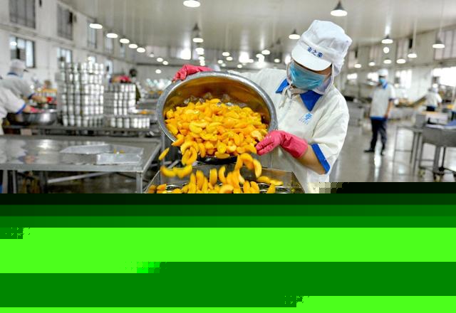 农村创业发财的8个商机